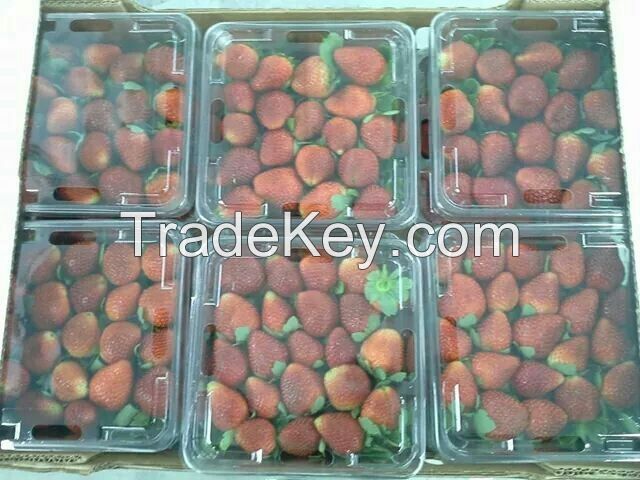 Fresh Strawberry