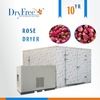 industrial rose industrial dryer