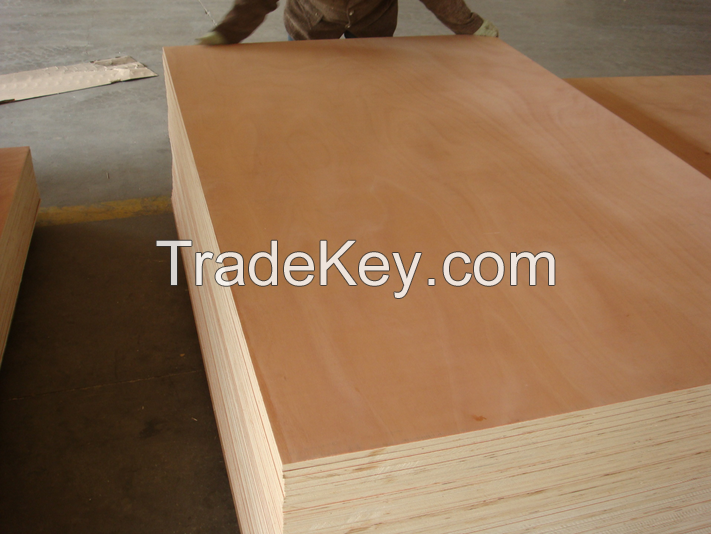 Bintangor Plywood & Okoume Plywood