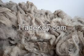 Raw Wool