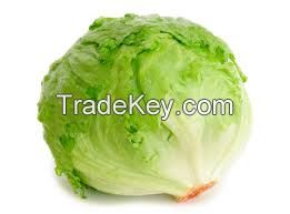 Lettuce