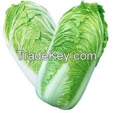 Chinese Cabbage