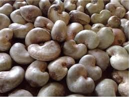 African Raw Cashews