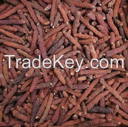 LONG PEPPER