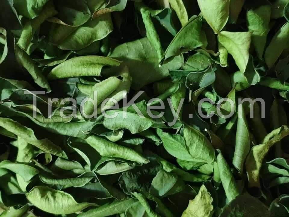 KAFFIR LIME LEAF