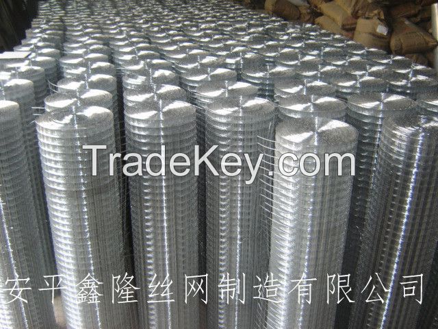 Galvanized 10 gauge welded wire mesh in rolls from anping factory 