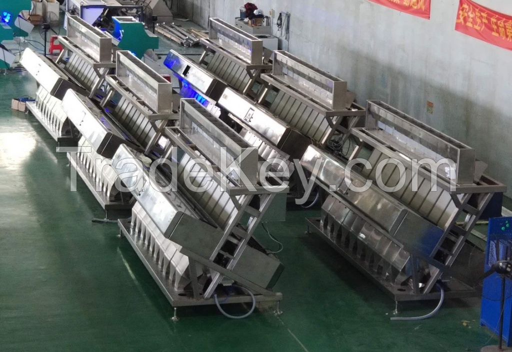 color sorting machine /color sorter/color selection machine