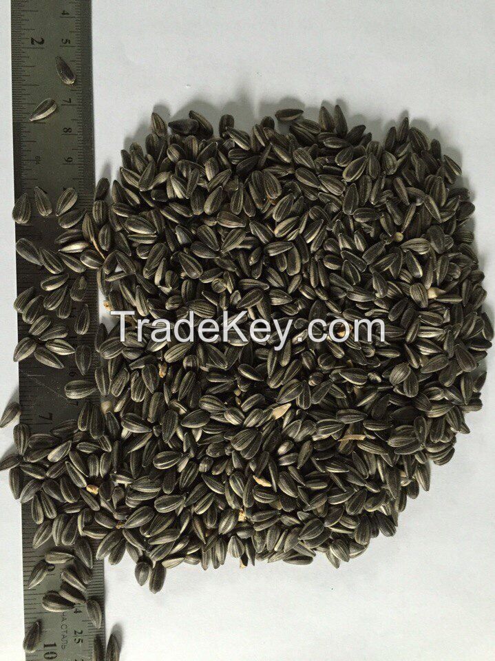 Sunflower seeds