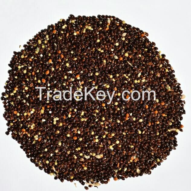 Black Millet 