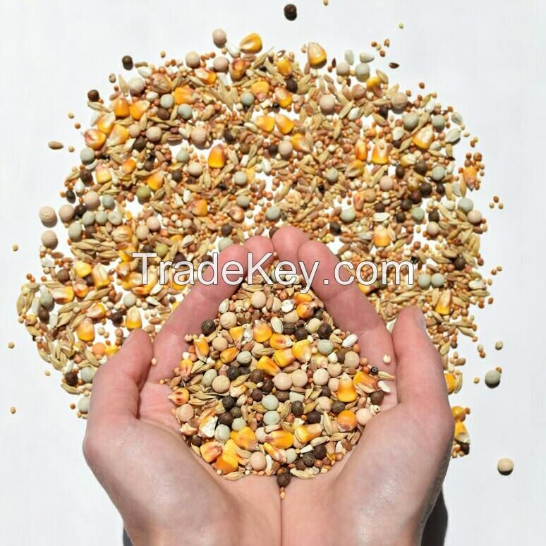 Bird feed mixes