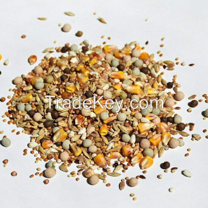 Bird feed mixes