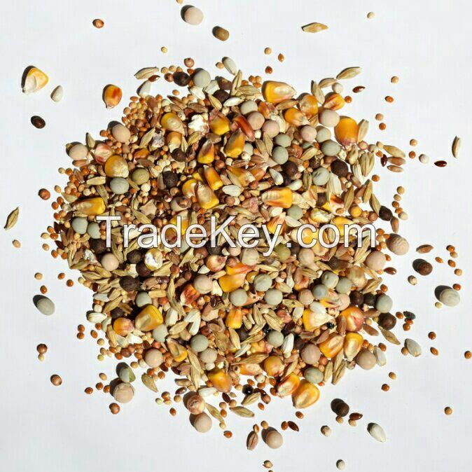 Bird feed mixes