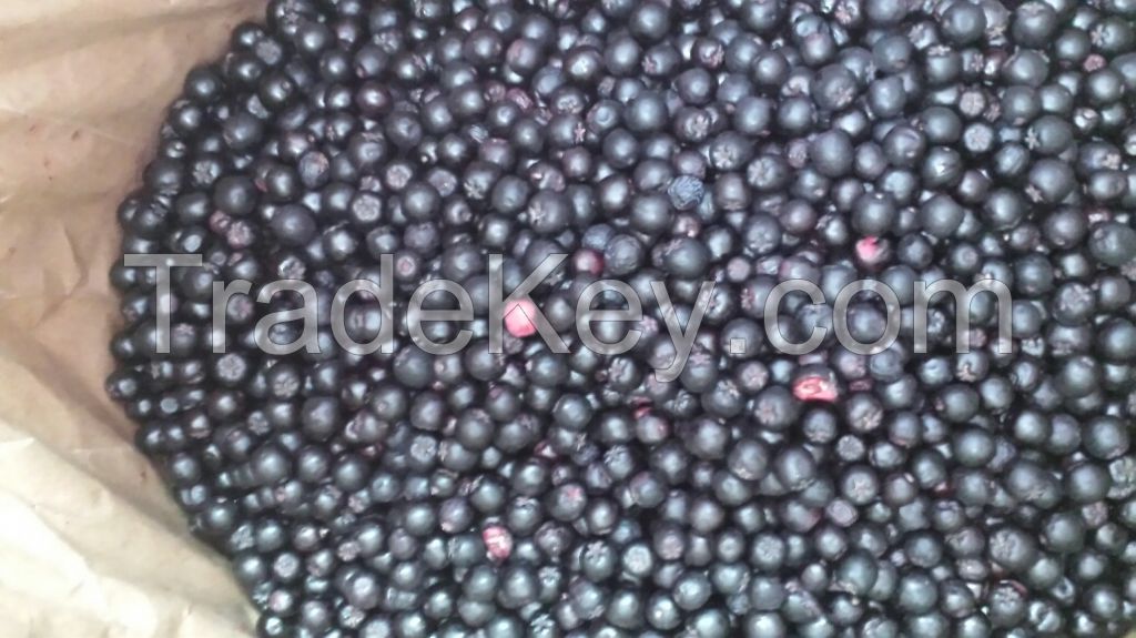 Frozen Black Currant Ecological And Conventional Cultivation