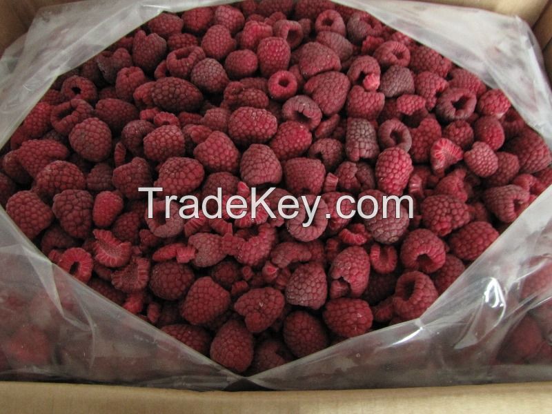 Frozen Raspberry Ecological and Conventional Cultivation