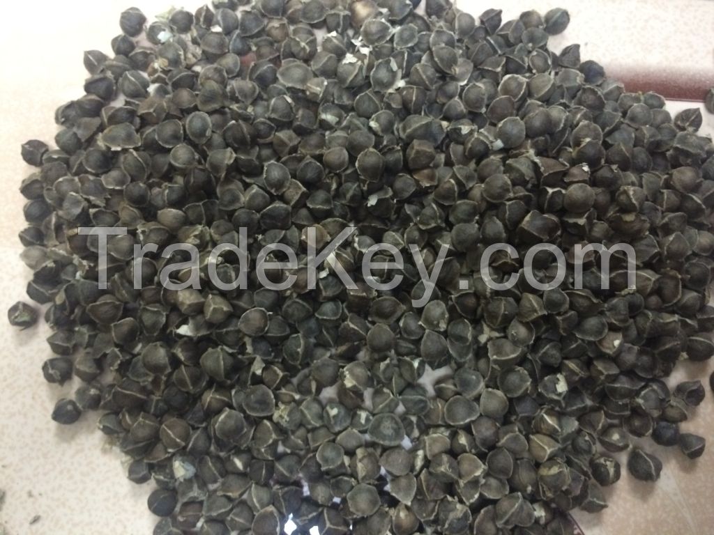 Moringa Seeds