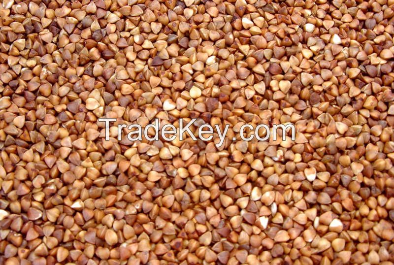 BUCKWHEAT