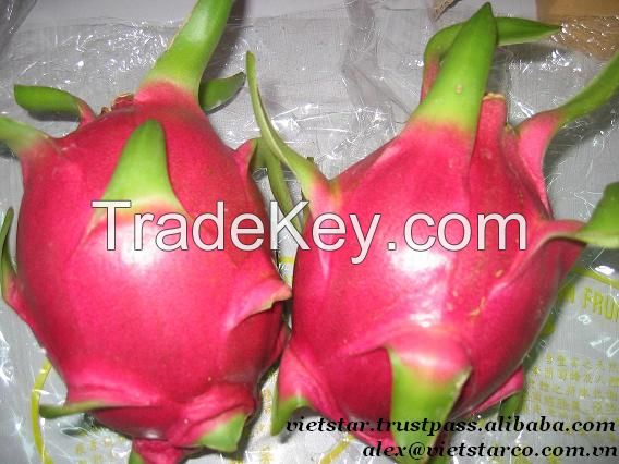 Vietnam Dragon fruit for sale