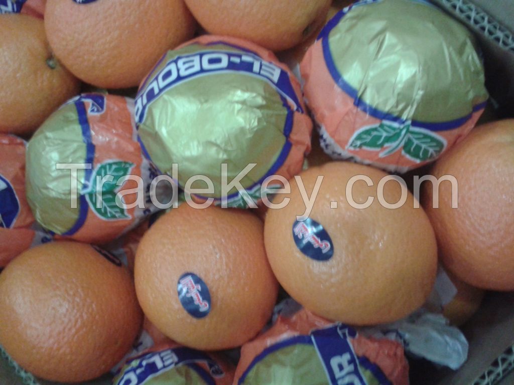 Egyptian Fresh Orange for sale