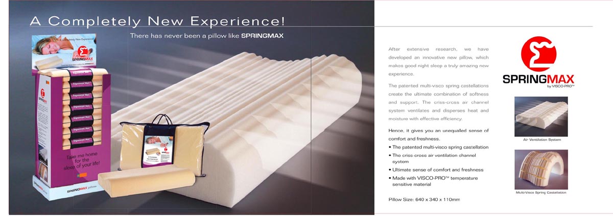 Memory Foam Mattress (Springmax)