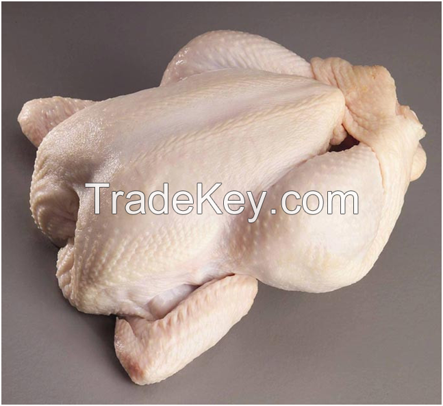 FROZEN WHOLE HALAL CHICKEN / PREMIUM GRADE HIGH QUALITY FROZEN WHOLE CHICKEN