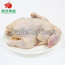 halal quality chicken the whole chicken