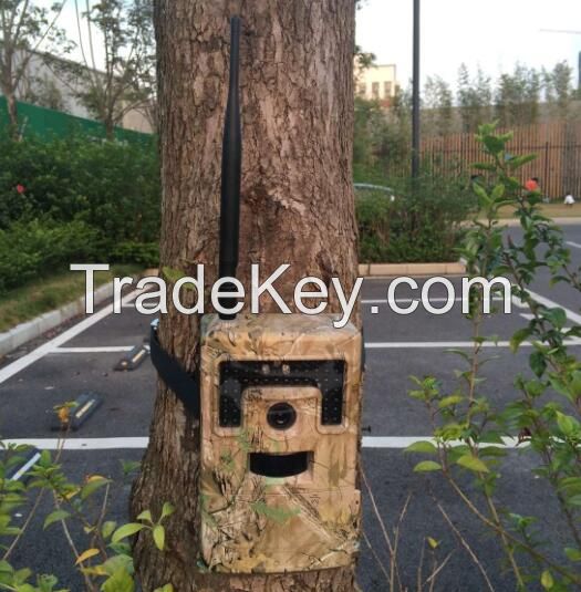 BL380M GSM GPRS Hunting Cameras GPRS MMS Wildlife Cameras GPRS Game Camera GPRS Outdoor Cameras OEM Factory