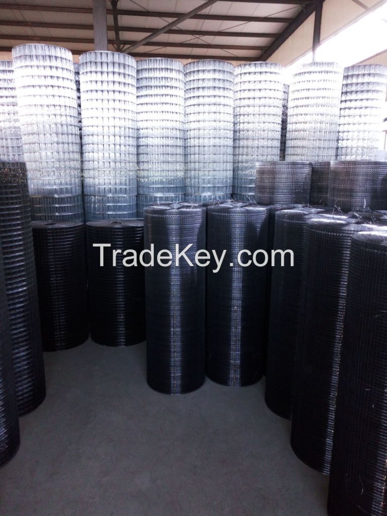 Nickel Wire Mesh/Nickel Perforated Metal