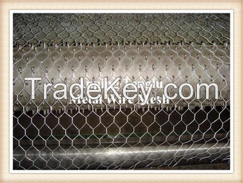 Hexagonal Wire Netting/Hex Decorative Wire Mesh/ Garden Mesh