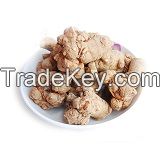 GMP factory sanqi Notoginseng Root