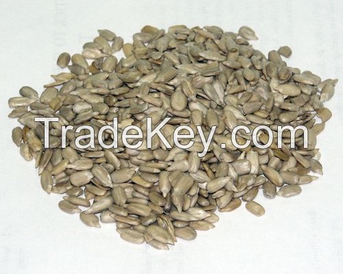 Sunflower kernels