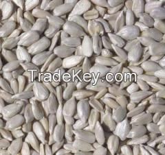 Sunflower kernels