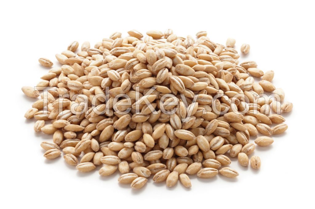 Oats