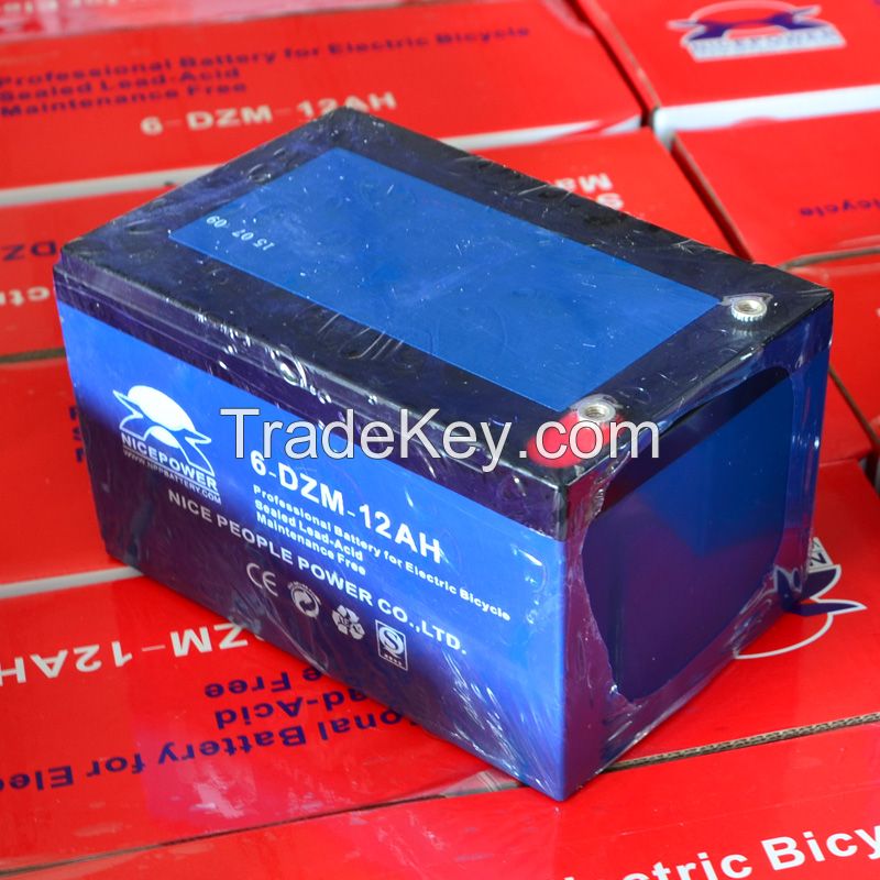 Spot electric bicycle battery