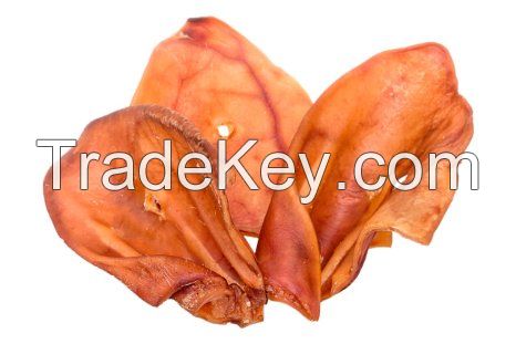 Pig middle ear natural