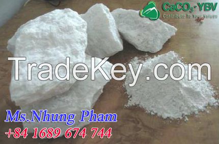 Vietnam Calcium Carbonate over 98%  CaCO3 for paint industry