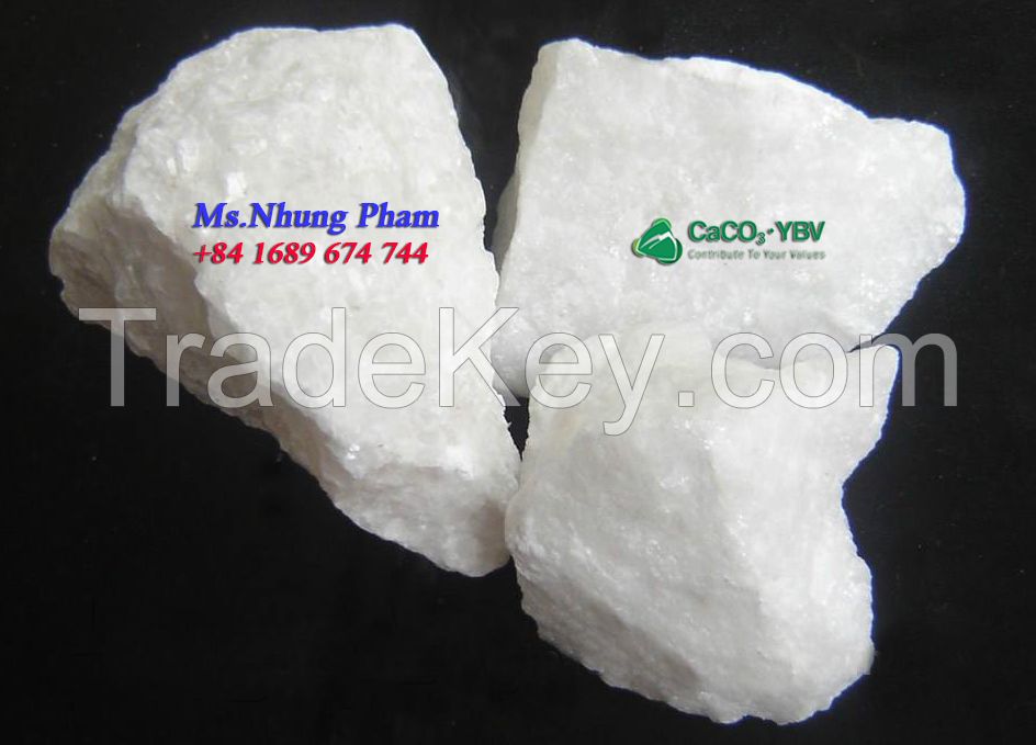 Vietnam Calcium Carbonate 98+++% Calcium Carbonate powder with largest Vietnam manufacturer and competitive price