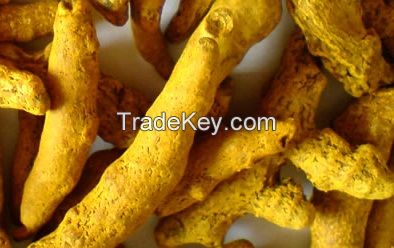 Quality Tumeric Finger/Powder