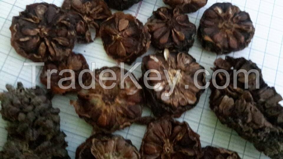 dried noni fruit/ noni powder extarct/ noni juice at the best price