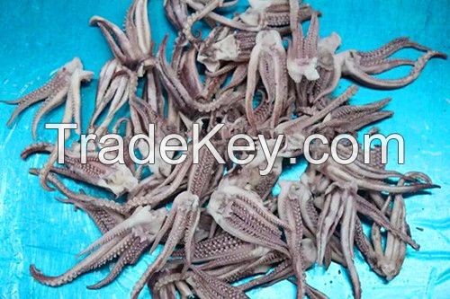 Best quality japanese squid tentacle