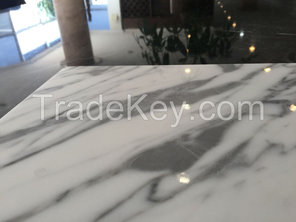 Italy White Marble Series  Venato Carrara