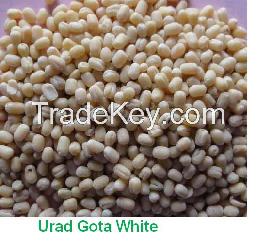 Urad Dal Whole & Split. 