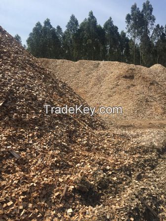 EUCALYPTUS Logs and Chips