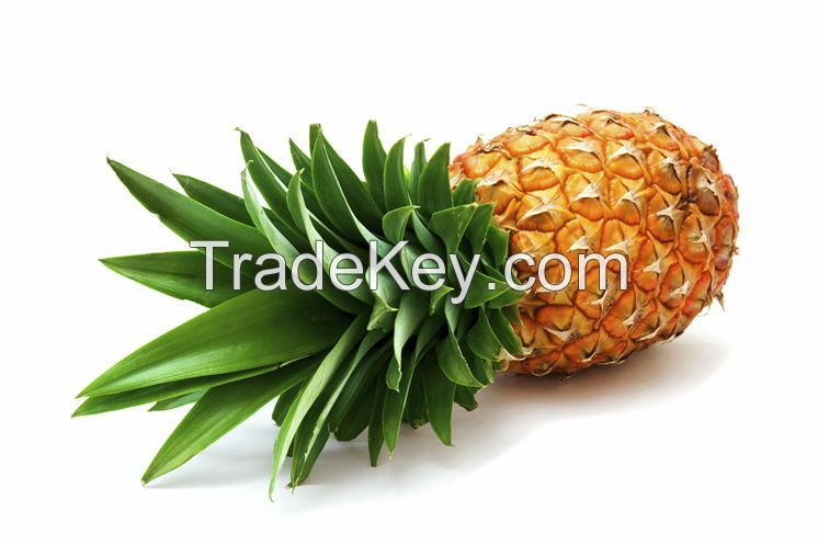 Pineapple USD 298/Ton