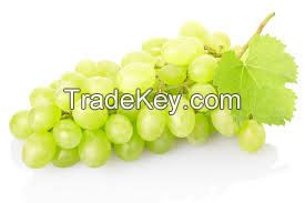 grapes  