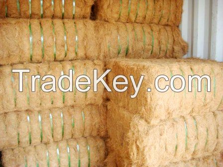 Coconut fiber