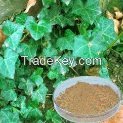 Ivy extract