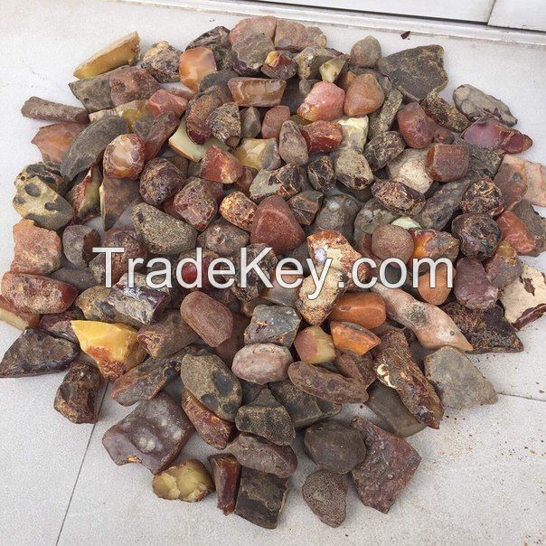 Baltic amber (Samples Available )