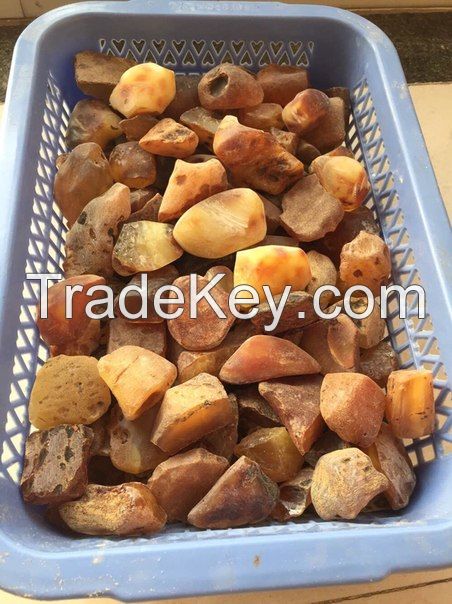 Natural Baltic Amber (Samples Available )