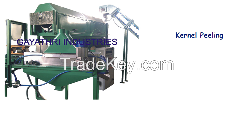 Cashew nut process machines