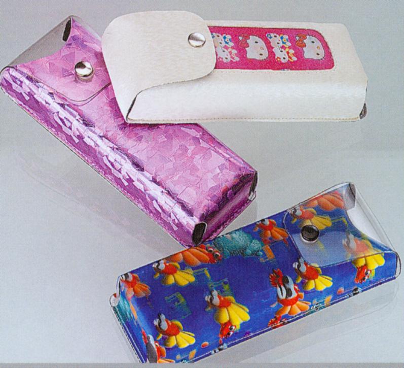 Glasses Case